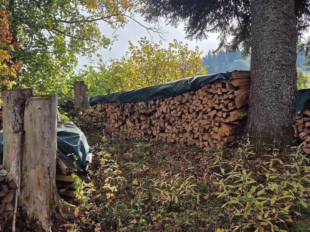 Holzartikel: Bois de feu Sapin – Neu und originalverpackt aus Tramelan von mathias037 1