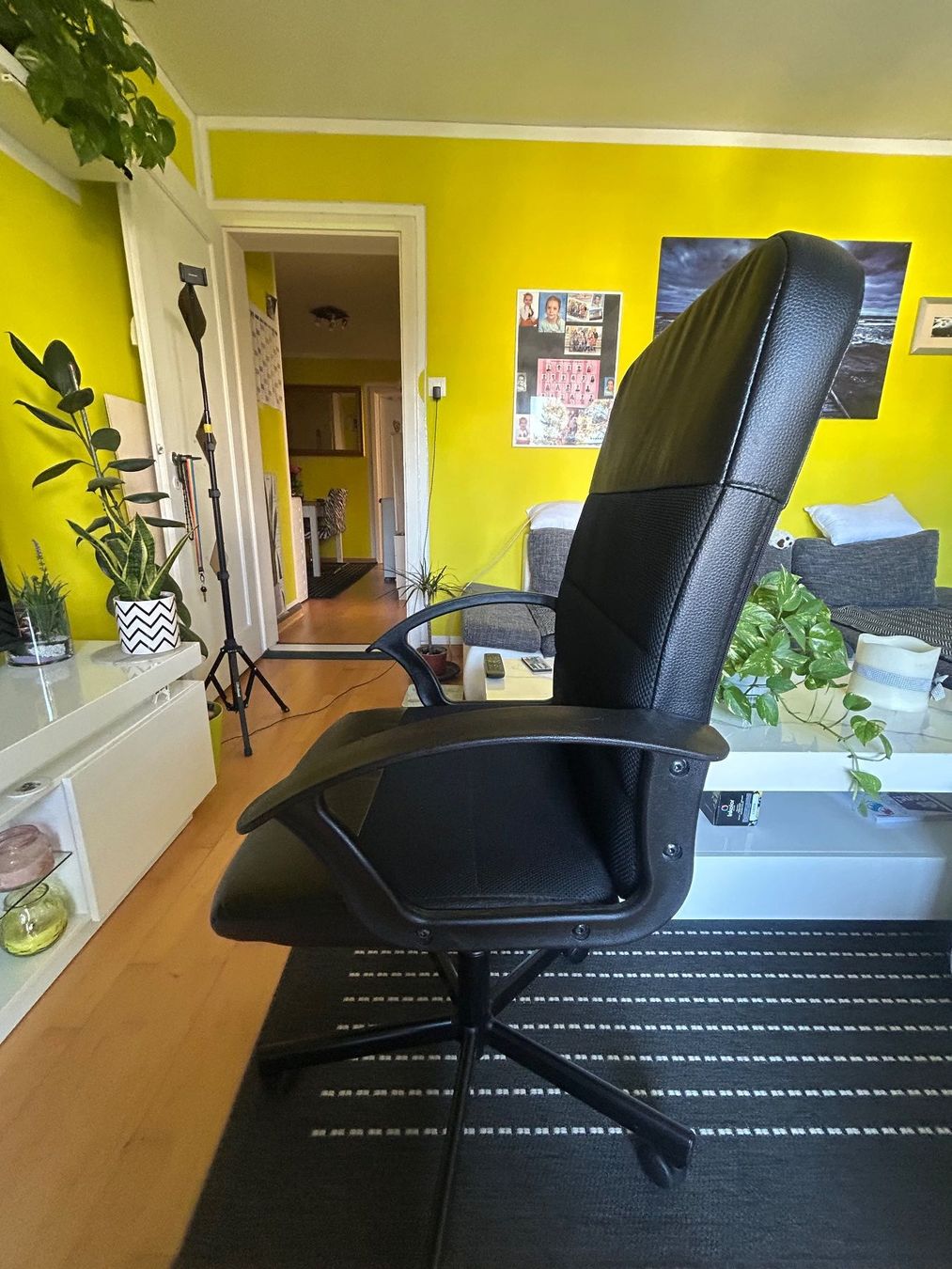 Sedie: Bürostuhl – Usato da Dübendorf venduto da nik_z59x 1