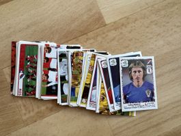Panini EM 20012 Sticker 