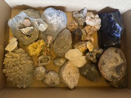 Mineralien und Versteinerungen