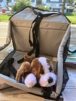 Hunderucksack für kleine Hunde grau guter Zustand
