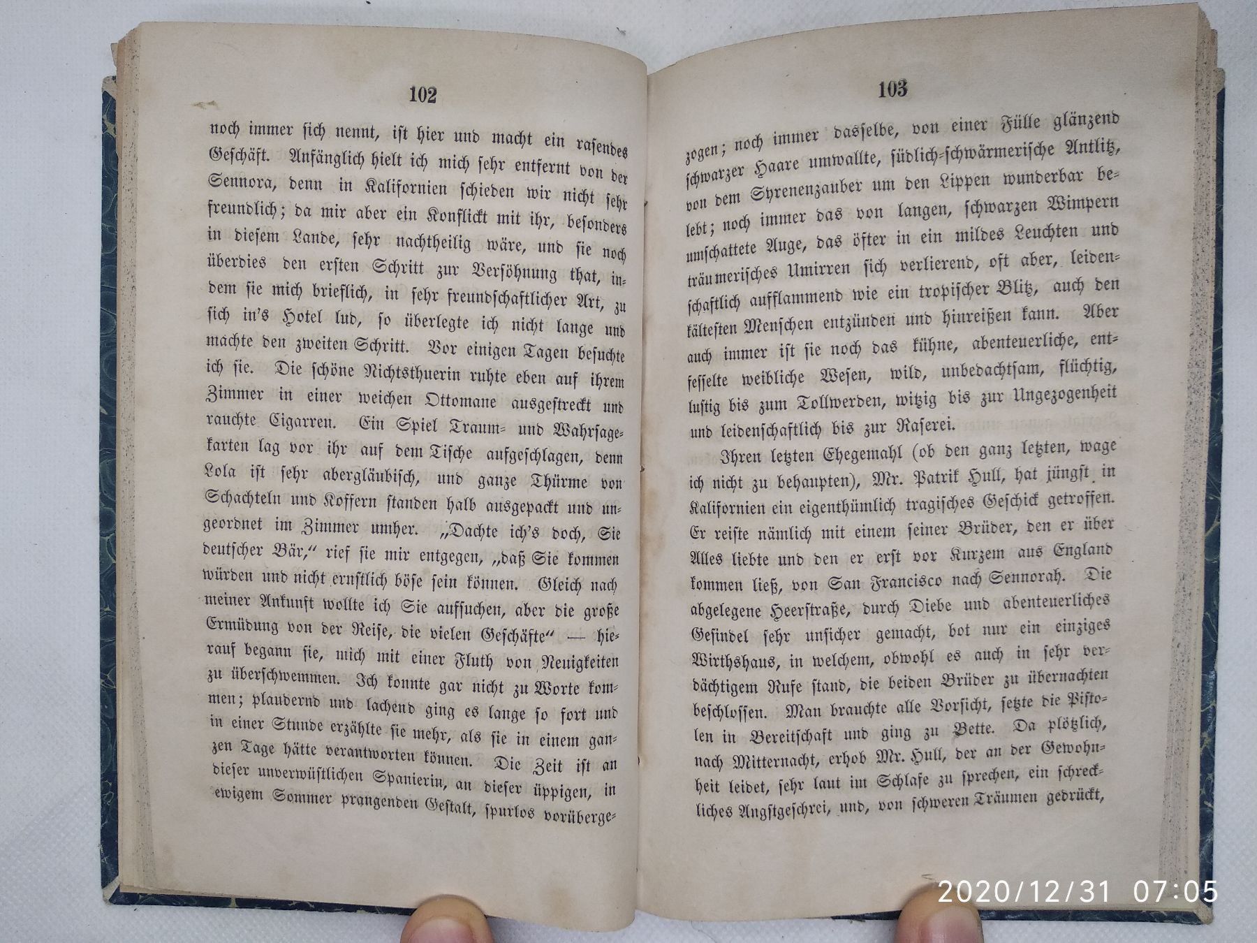 Bücher: WANDERBUCH AMERIKA 1859 – Gebraucht aus Goldach von Gaip 4