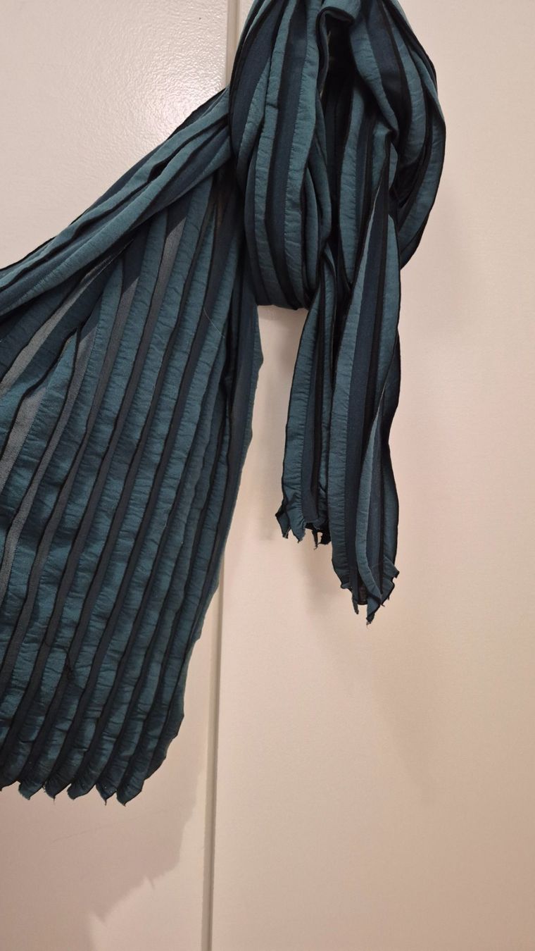 Foulard & Sciarpe: Sciarpa verde e nera - Accessorio di stile! – Usato da Wettswil am Albis venduto da lin_8h9t 4