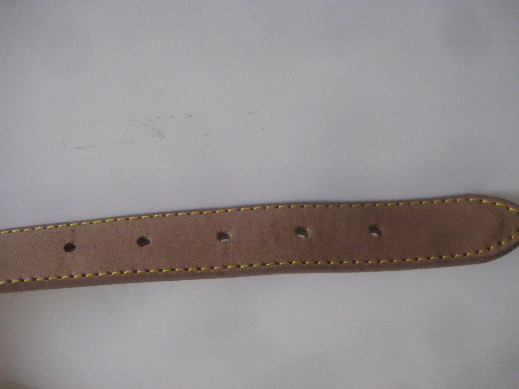 Collier et laisse: HUNDE HALSBAND  OTHELLO – Neuf (Voir description) à Uster par flocke1 2
