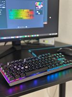 Steelseries Apex Pro TKL (guter Zustand)