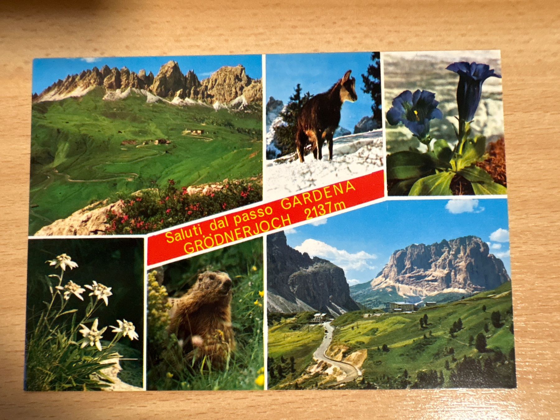 Cartes postales: Ansichtskarte Grödnerjoch Dolomiten – D'occasion à Ibach par lisch3