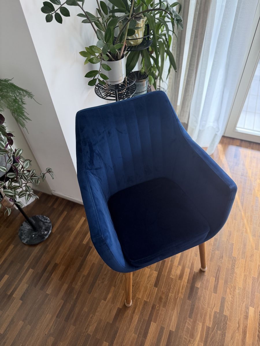 Westwing Stühle: 2x Samtstuhle von Westwing – Gebraucht aus Glattpark(Opfikon) von dic_7gxr