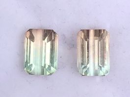 TURMALIN  Bi-Color Pair salmon/mintgrün  5.15cts