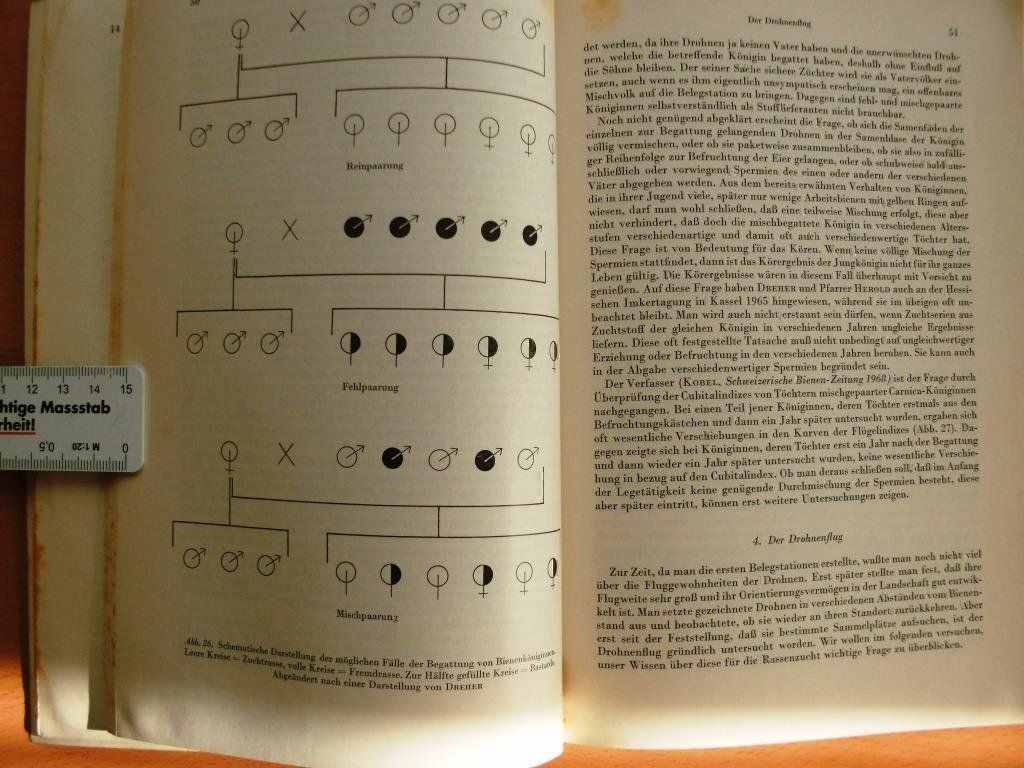 Libri: Die Rassenzucht bei der Honigbiene – Usato da Grenchen venduto da Kogi7 4