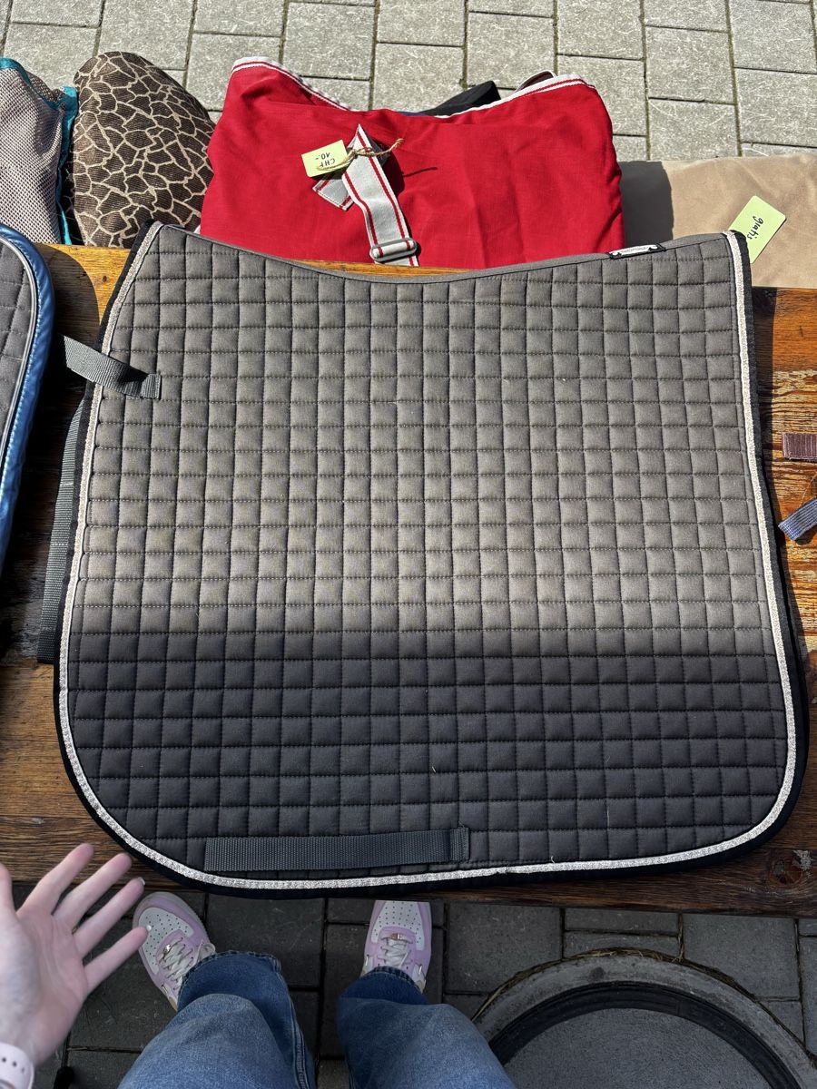 Eskadron Coperte & Accessori: Eskadron DL schabracken Set – Usato da Rickenbach LU venduto da mic_y5rd 6