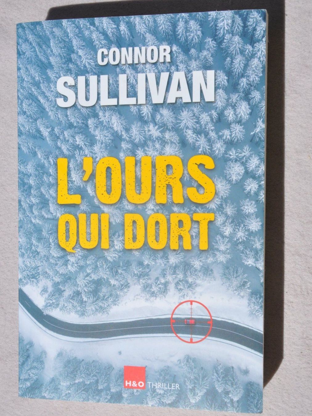 Livres: L'ours qui dort - Connor Sullivan – D'occasion à Fully par Minouchka