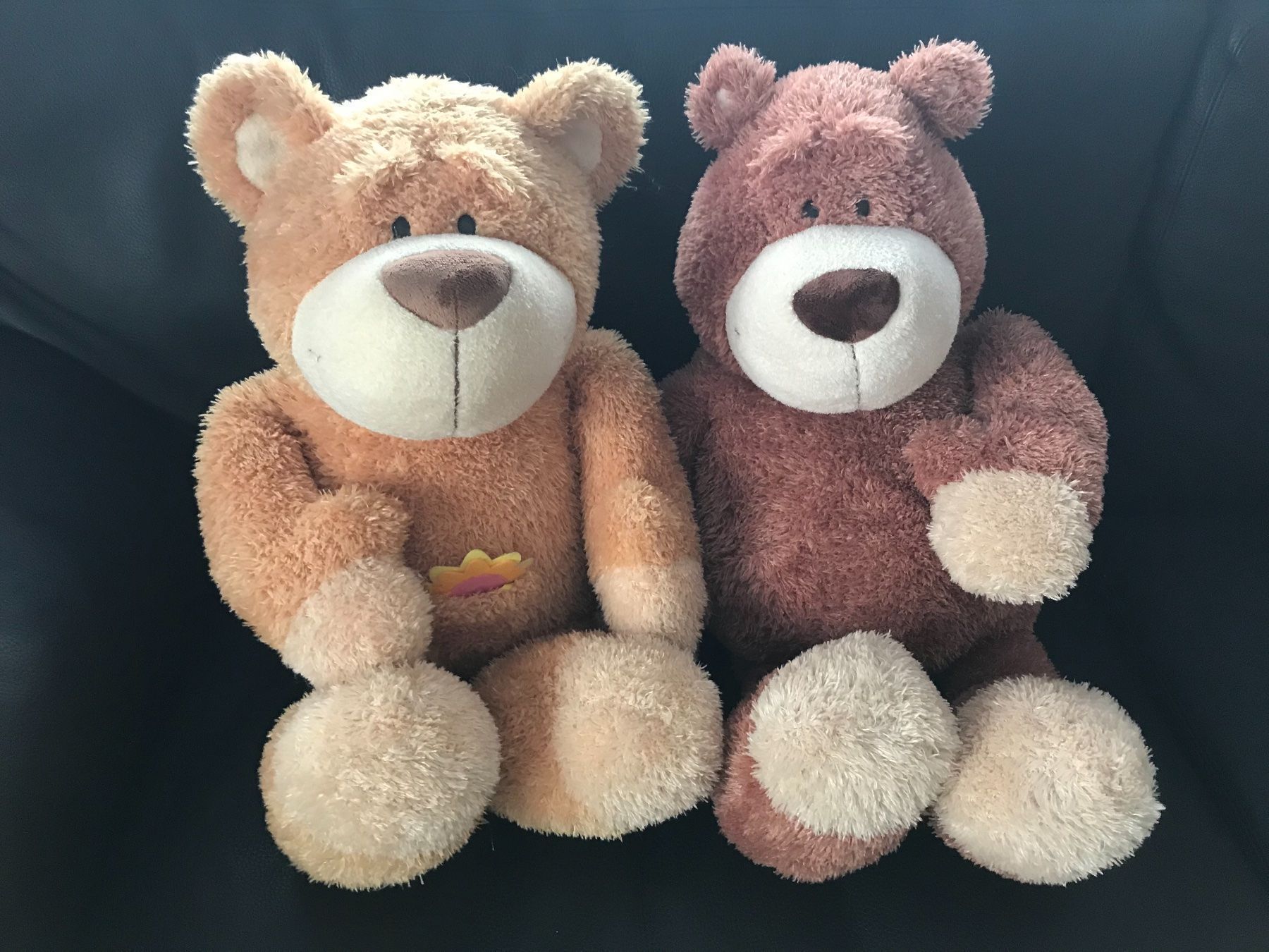 Nici Spielzeuge: Nici Teddybären – Neu (gemäss Beschreibung) aus Zofingen von Mephista10