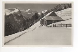GRABS Skigebiet Waldrand mit Alvier