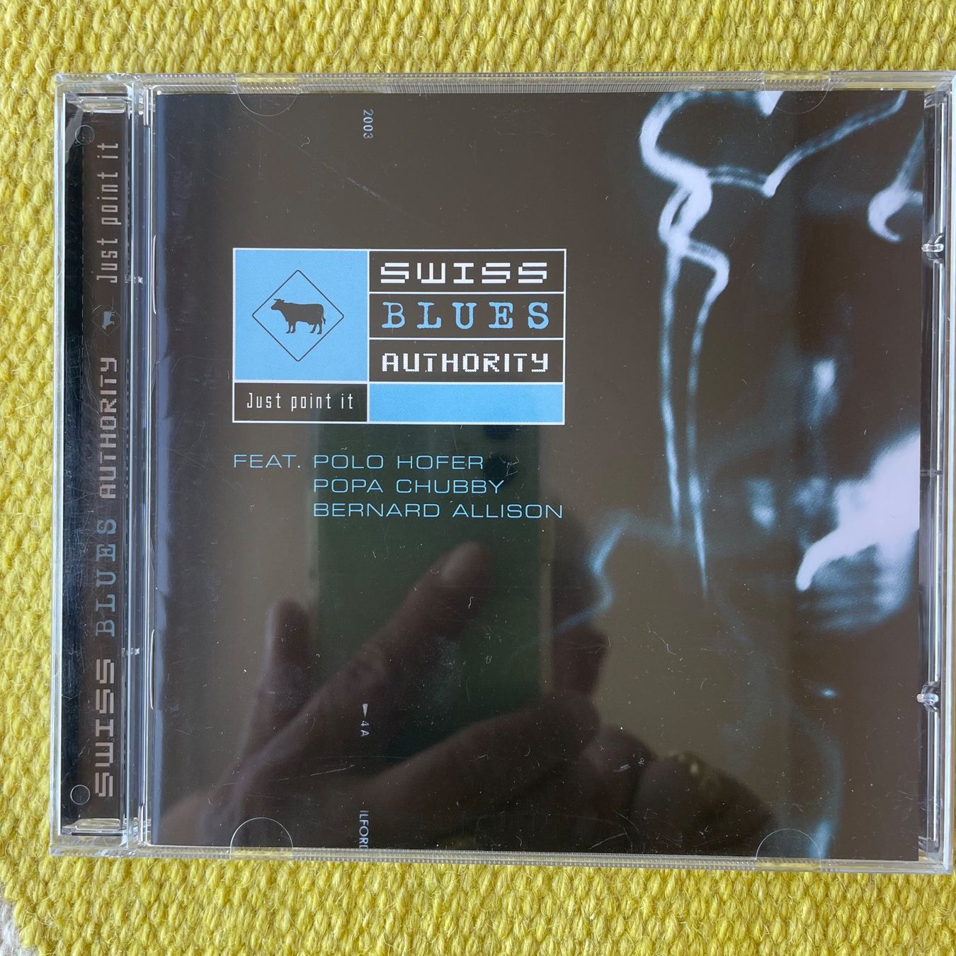 CD: SWISS BLUES AOTHORITY POLO HOFER-JUST POINT IT – Usato da Rorschacherberg venduto da CD-Roli