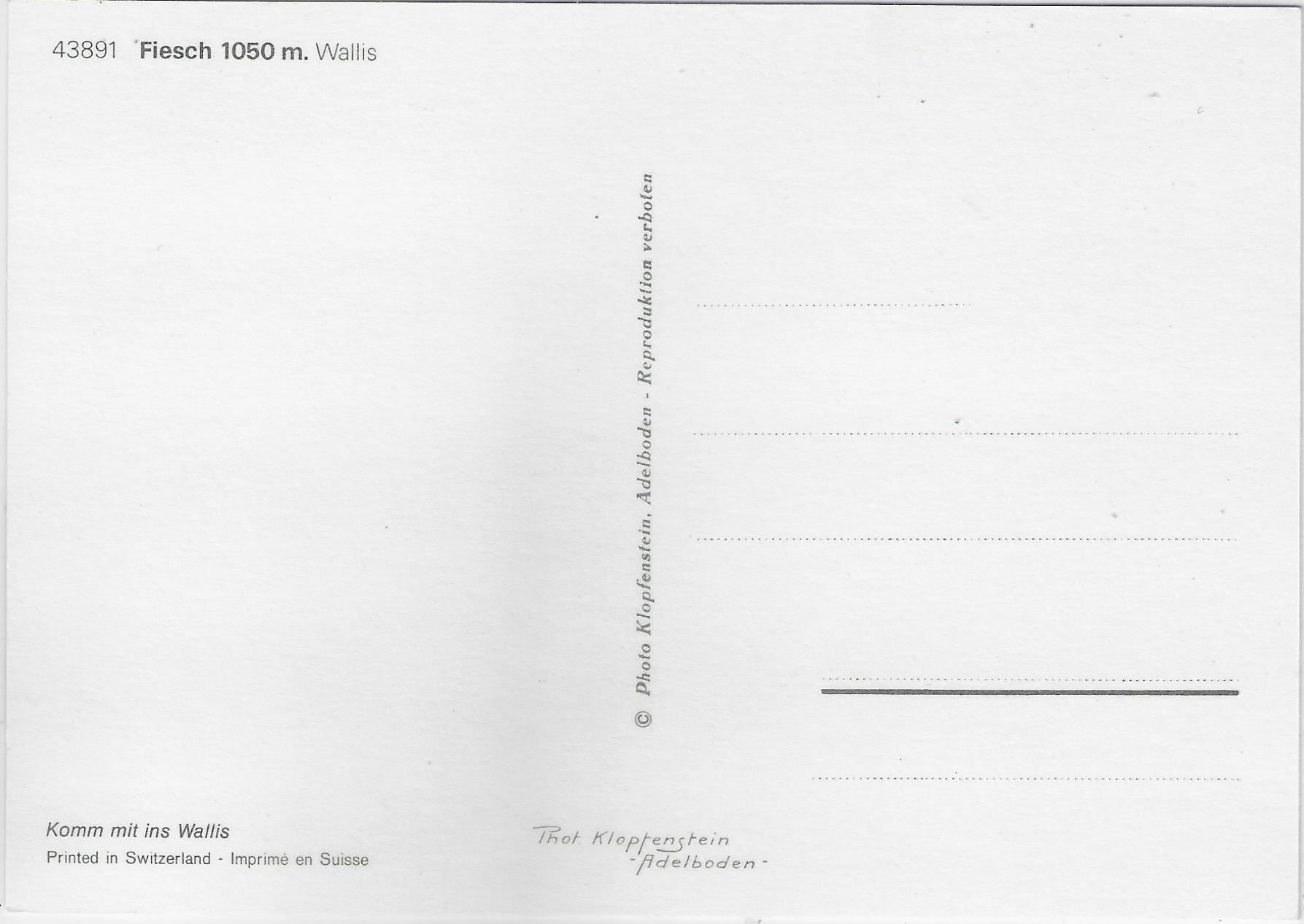 Cartoline postali: Fiesch - Generalansicht – Usato da Ettingen venduto da Kartenplanet 1
