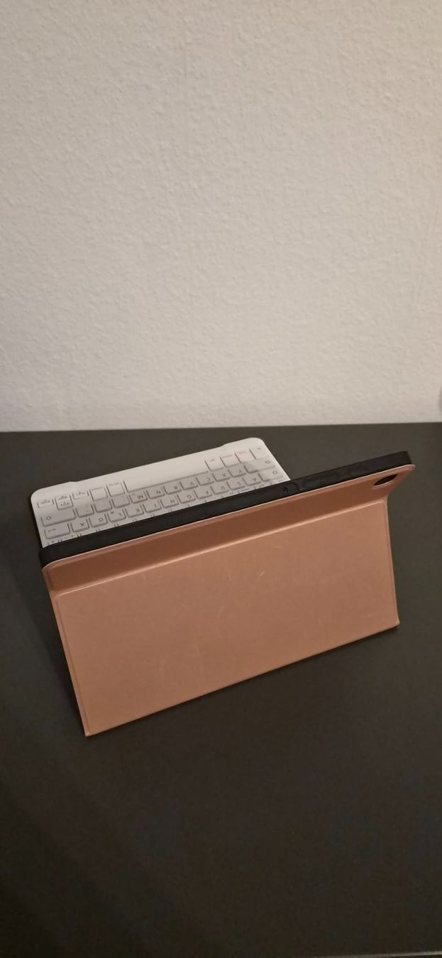 Samsung Tablet PC: Samsung Tab S6 Lite – Usato da Emmenbrücke venduto da szalajka6 1