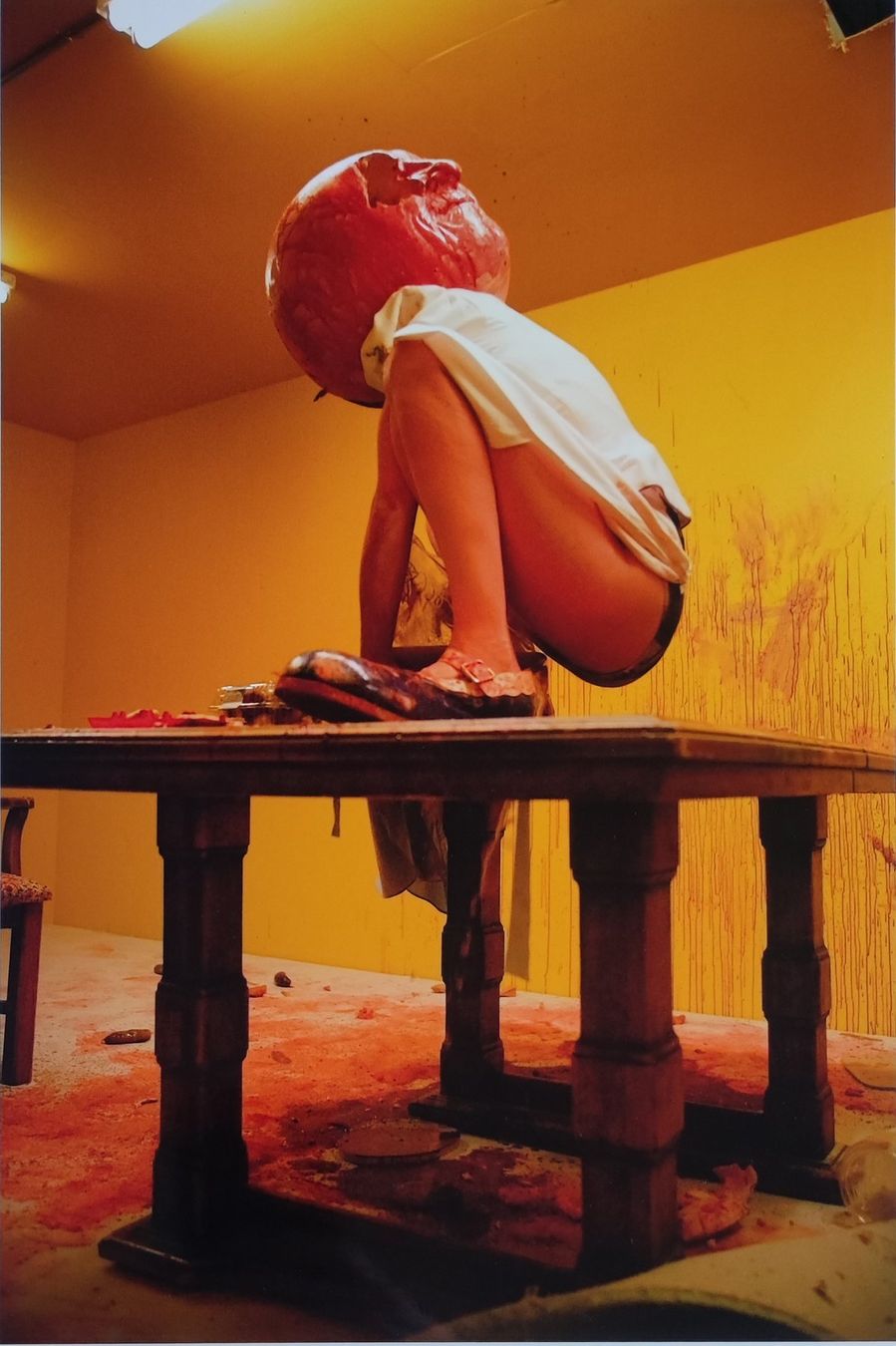 Foto & Immagini: PHOTOGRAPHIE - PAUL MCCARTHY - – Usato da Goldach venduto da Gaip 6