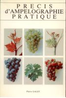 Precis D'Ampelographie de la vigne