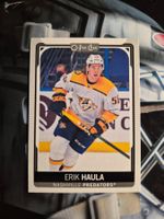NHL Erik Haula Nashville Predators