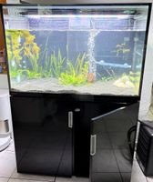 Eheim 300L Aquarium Komplettset + Hailea Kühler (Garantie)