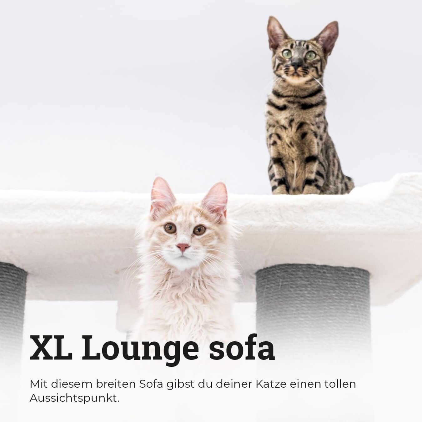 Katzenbaum - Kratzbaum: Petrebels Siberian 200 Kratzbaum White – Neu und originalverpackt aus Bottighofen von zaap 3