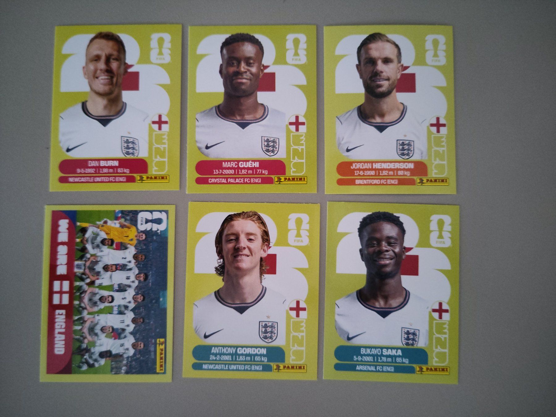 Panini Carte collezionabili: FIFA Panini England (ENG) – Usato da Bern venduto da gil_rkx8