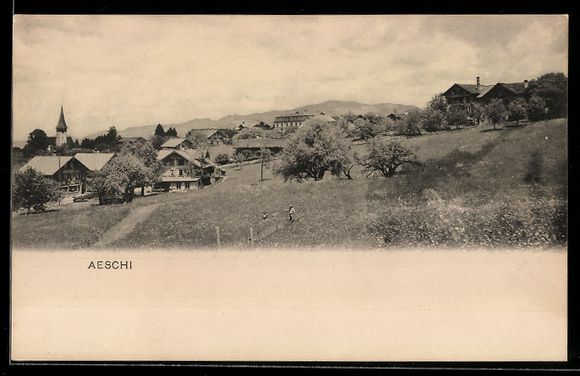 Cartoline postali: Aeschi, Ortsansicht mit Wiesen u. Bergpa – Usato da Berlin venduto da bartko-reher