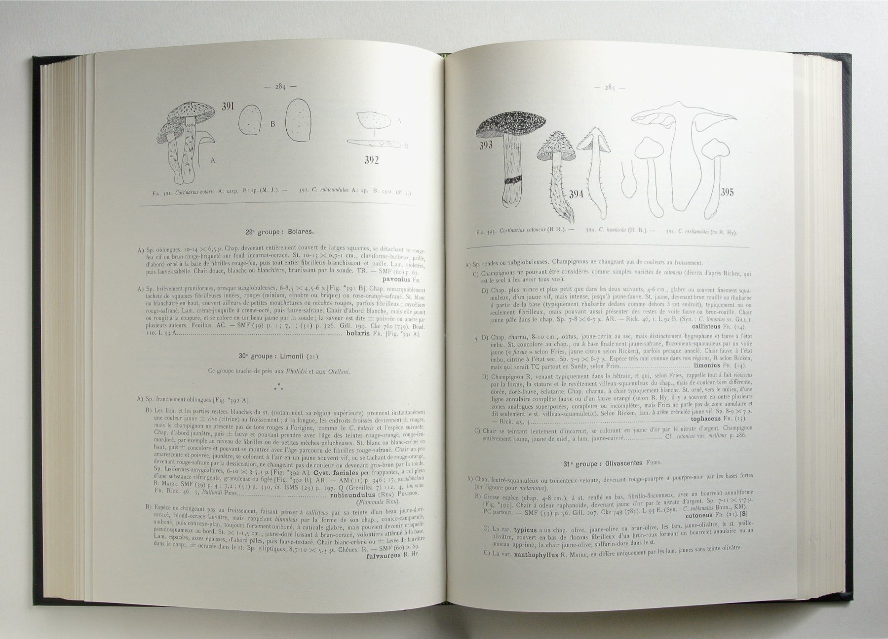 Libri: Kühner, Robert. / Romagnesi, Henri. Flore analytique des – Usato da Erschwil venduto da taglang 2
