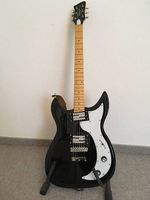 E-Gitarre Richmond Dorchester (made by Godin)