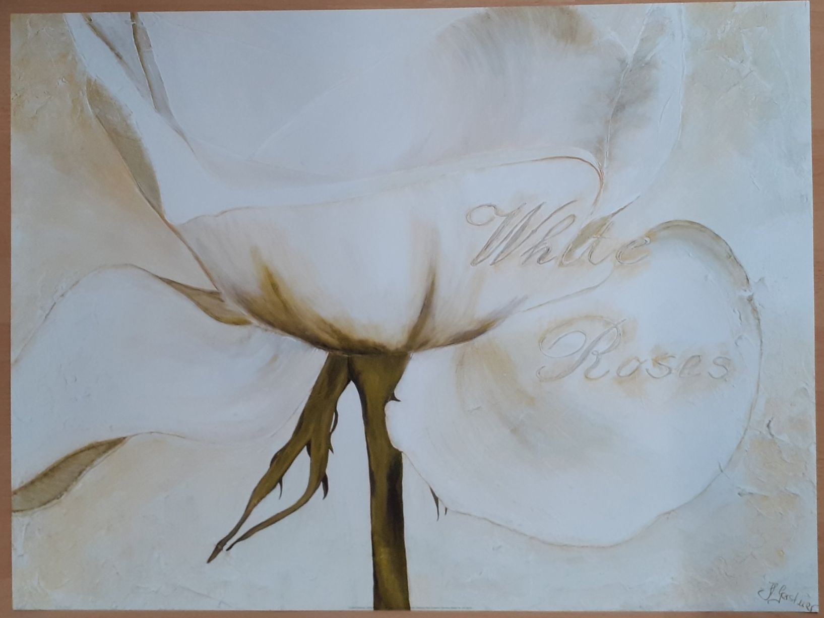 Foto & Immagini: HEIDI GERSTNER  White  Roses II .  Kunstdruck 2002 – Usato da Basel venduto da Luge 6