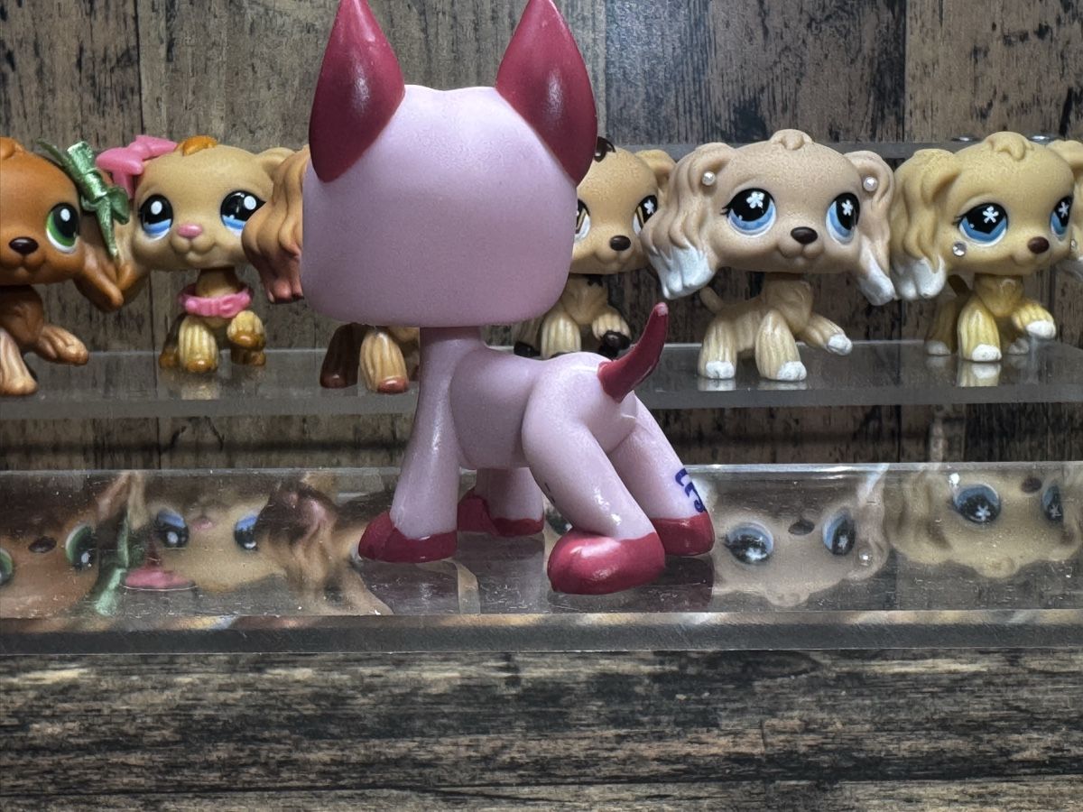 Hasbro Giocattoli: Littlest pet shop great dane – Usato da Luzern venduto da Maja.C 1