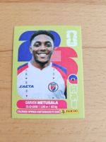 Panini WM 2026 HAI 8
