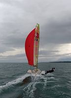 Dériveur 49er n°485  prêt à naviguer et à régater