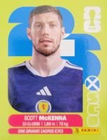 Panini FIFA World Cup SCO 7