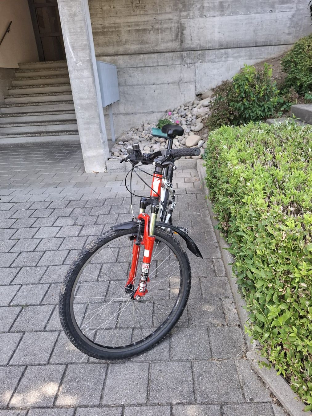 Specialized Biciclette: Fahhrad, Specialized – Usato da Köniz venduto da nlca 1