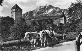 Bauer mit Ochsen + Wagen, Luzern, Museggtürme & Pilatus Berg