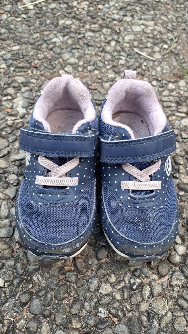 Scarpe per ragazzi: Kinder Turnschuhe, von Oskosh, Gr.22 – Usato da Büren an der Aare venduto da trecine