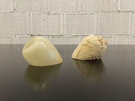 Tütenschirm_50/60iger_Glas_ca.⌀ 35, ⌀ 95, x H 79 mm