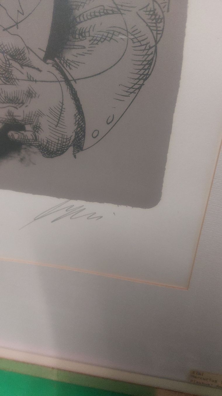 Grafiken & Lithographien: H. Erni, Lithographie "Teichne", handsigniert, gerahmt. – Gebraucht aus Opfertshofen SH von museumswert 1