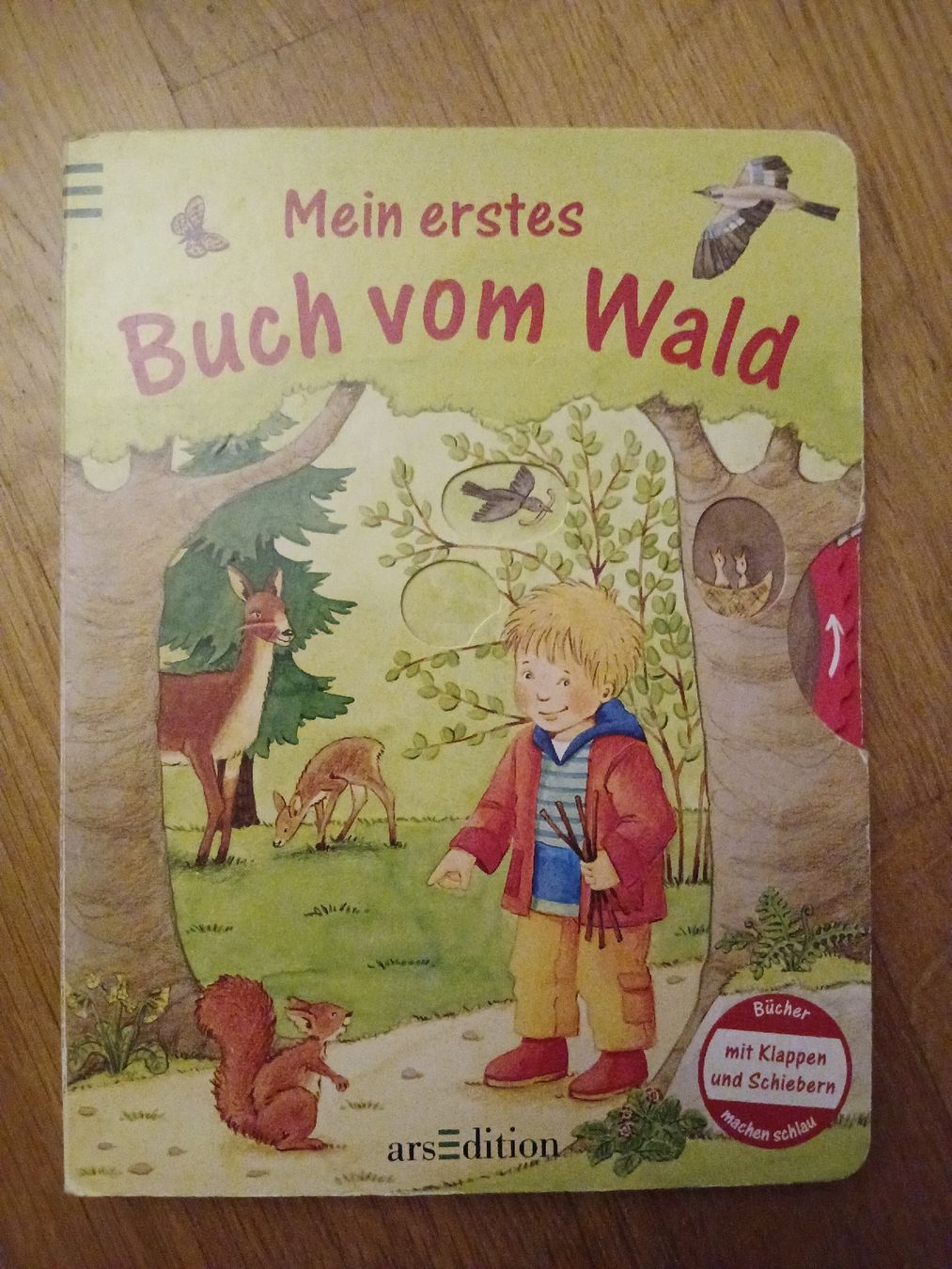 Libri: Buch über den Wald – Usato da Bischofszell venduto da Mama_x