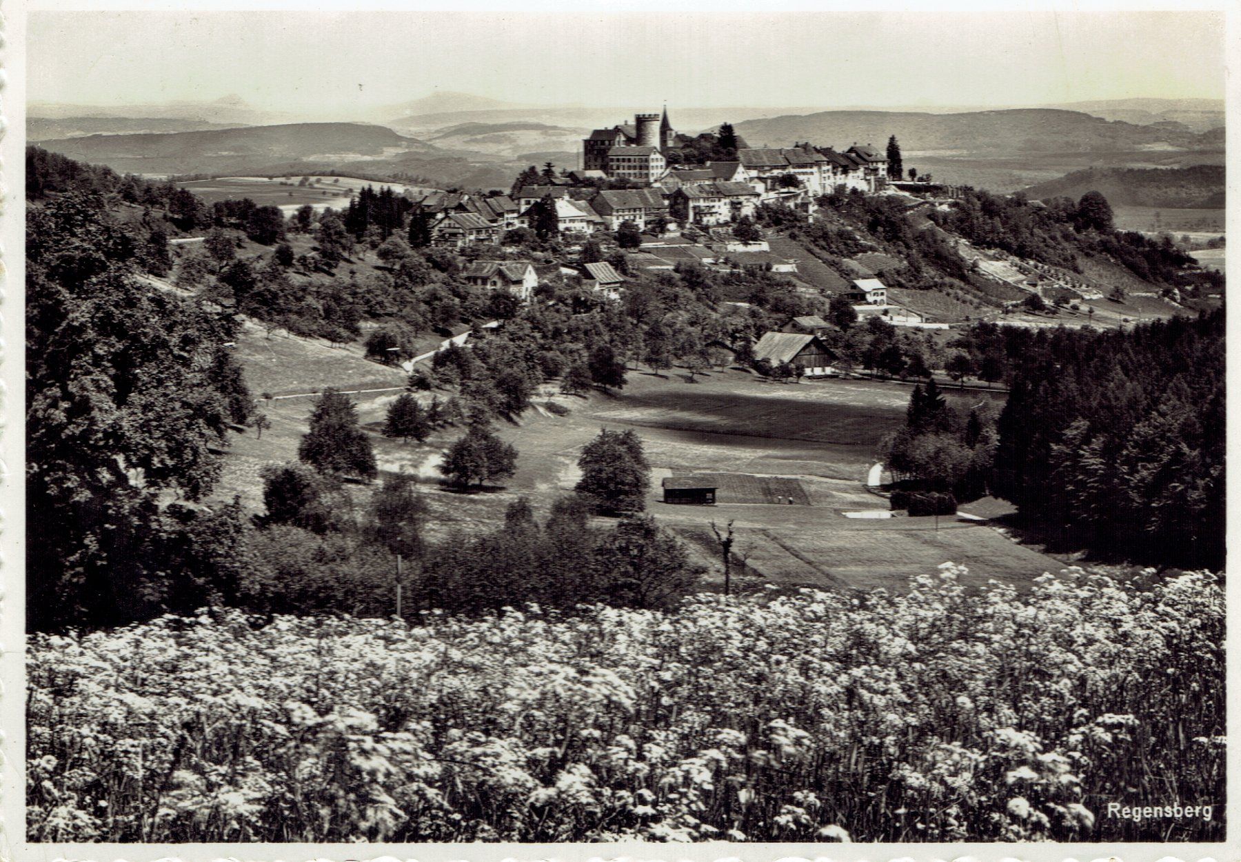 Cartoline postali: Regensberg ZH, um 1935 – Usato da Otelfingen venduto da Schmitte9