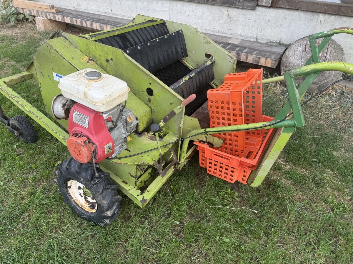 Alle Maschinen: Obstauflesemaschine Bücheler – Gebraucht aus Winden von farmalld439 3