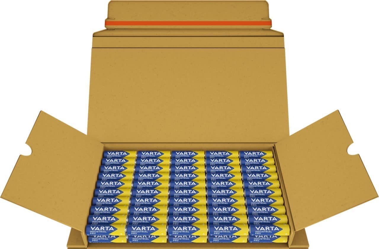 Varta Caricatori & Batterie: 100 STÜCK BATTERIE AA Batterien Notfall / Geschenk Camping – Nuovo e nell'imballaggio originale da Hundwil venduto da Mr.Wong 1
