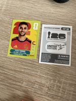 Panini ESP 18