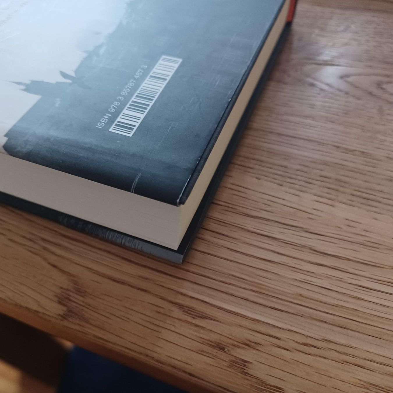 Libri: Die entwendete Handschrift -  Gabrielle Alioth – Usato da Dietikon venduto da Ruempfli 2