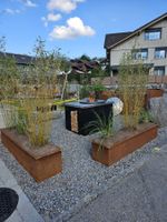 Garten-Grill mit Feuerschale und Appenzeller-Verzierungen