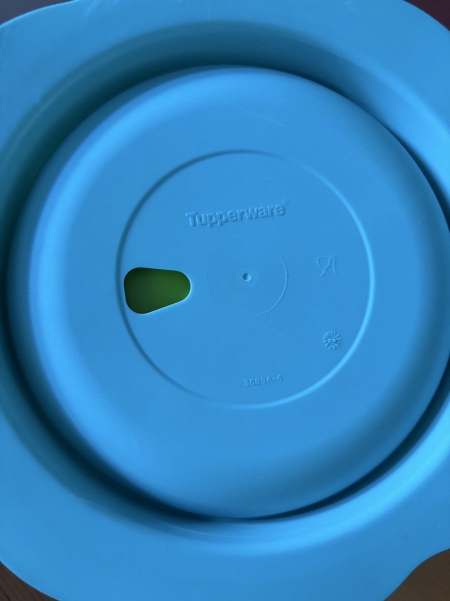 Tupperware Piatti: Assiette Tupperware avec ventouse pour bébé   – Usato da Sion venduto da Nelsonkatz 1