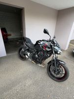 Kawasaki Z650 (35Kw) gedrosselt
