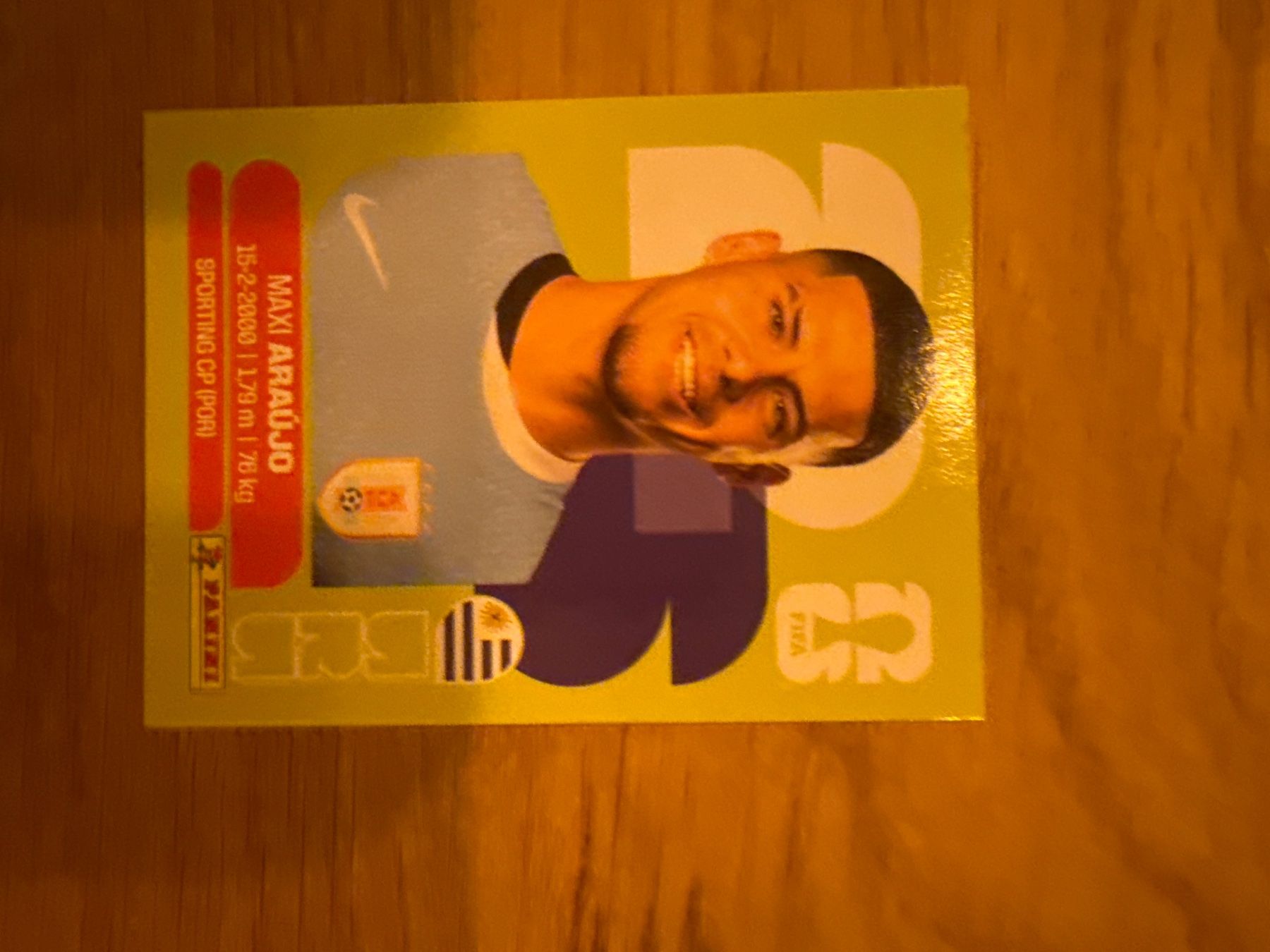 Panini Carte collezionabili: Panini – Usato da Langnau i. E. venduto da Acrjl