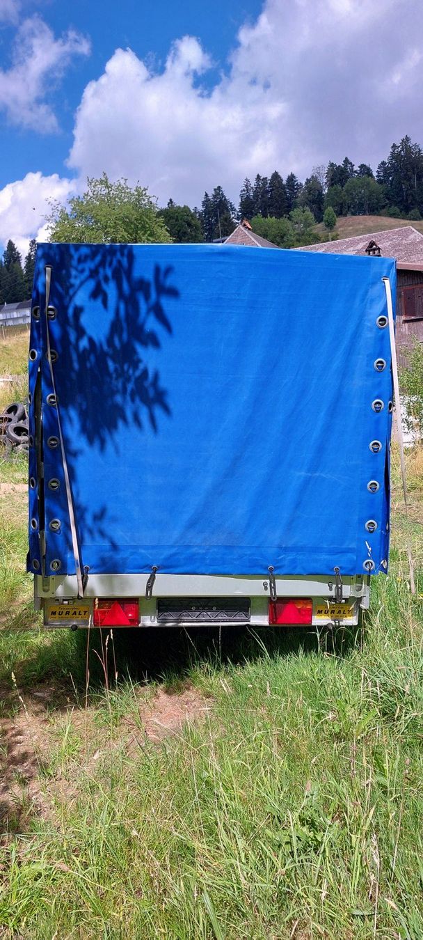 Daltec Anhänger: Daltec Cargo 13 mit Blachenaufsatz – Gebraucht aus Grünen von Doedel22 3
